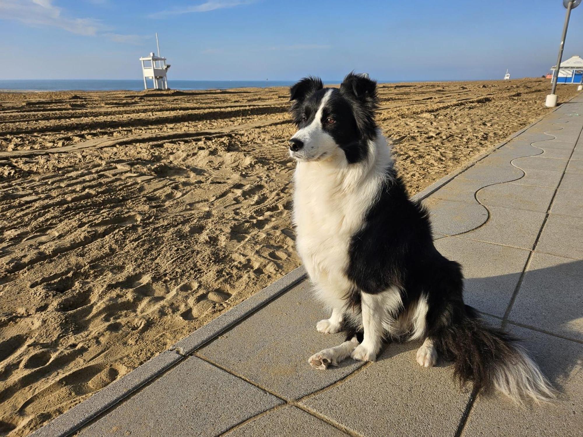Verdi Lido di Jesolo
